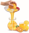 MOULINEX VITAPRESS-AGRUMES