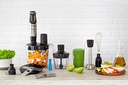 MOULINEX MIXEUR PLONGEUR INOX 1000W